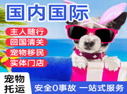襄阳刘集机场物流国际宠物托运 【国